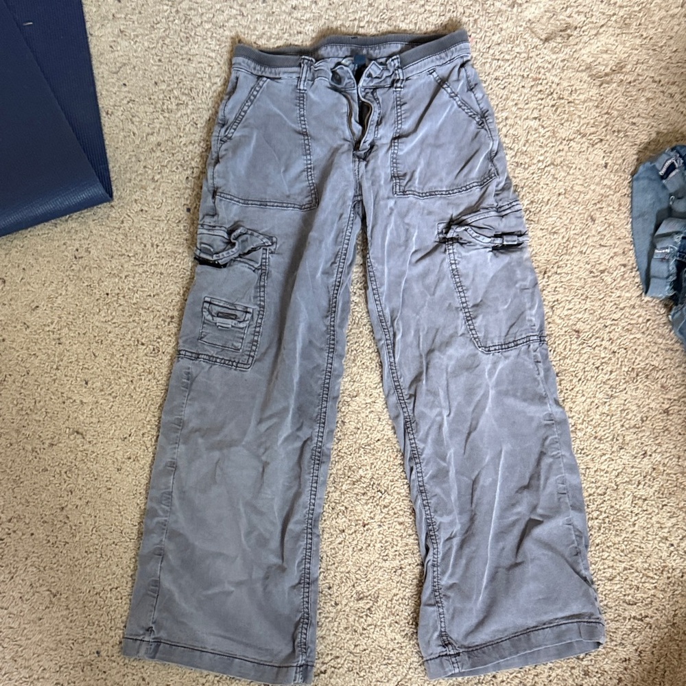 American Eagle Outfitters Slate Cargo Pants